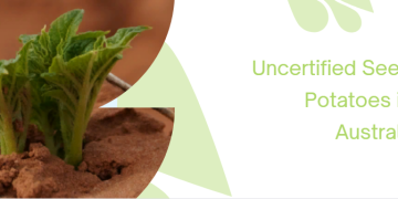 The Development and Consequences of Uncertified Seed Potatoes in Australia