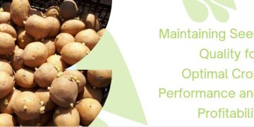 Maintaining Seed Quality for Optimal Crop Performance and Profitability