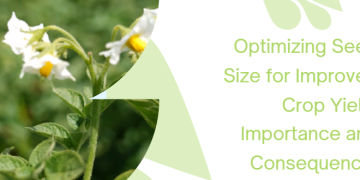 Optimizing Seed Size for Improved Crop Yield: Importance and Consequences