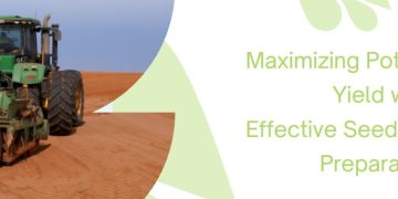 Maximizing Potato Yield with Effective Seedbed Preparation