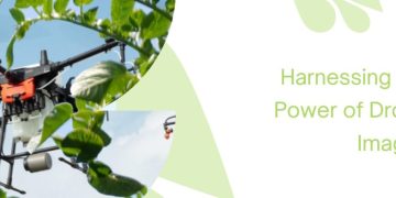 Harnessing the Power of Drone Imaging: Revolutionizing Agriculture through Accurate Plant Counts