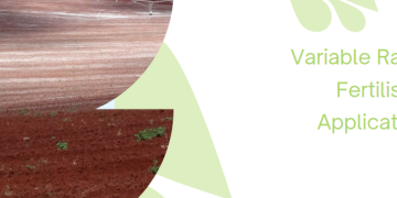 Variable Rate Fertiliser Application for Optimized Crop Nutrient Targeting