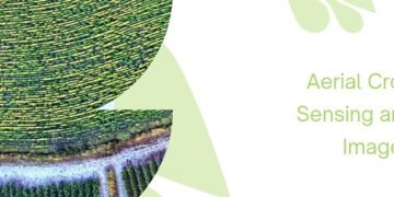 Aerial Crop Sensing and Imagery: Advancing Precision Agriculture