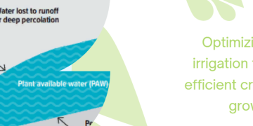 Get to know the soil in your paddock: optimizing irrigation for efficient crop growth