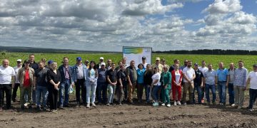 A Journey of Observations: Intermediate Results of Potato Cultivation for Chips Processing