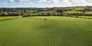 Revolutionizing Agriculture: Unveiling the Latest Agricultural Updates at UW-Madison CALS’ 175th Anniversary Field Days