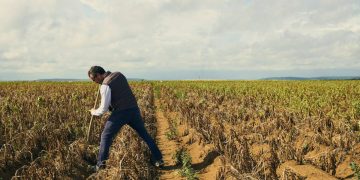 Impacts of Rising Temperatures on Agricultural Crops in Southern Europe