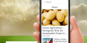 Potatoes News App: Your Gateway to Accessible and Free News