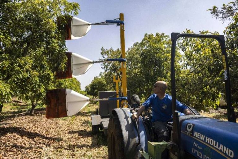 Revolucionando la agricultura: cómo Israel está aprovechando los drones y la IA para la gran agricultura