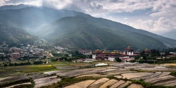 India to Continue License-Free Potato Import from Bhutan for Another Year