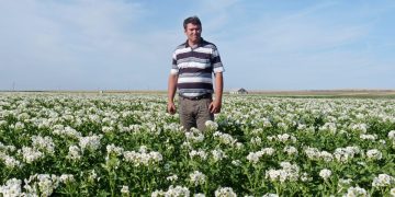 Quality product is expensive