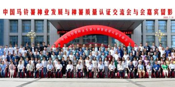 Enhancing Potato Seed Potato Quality Certification: A Path to Sustainable Potato Industry Development