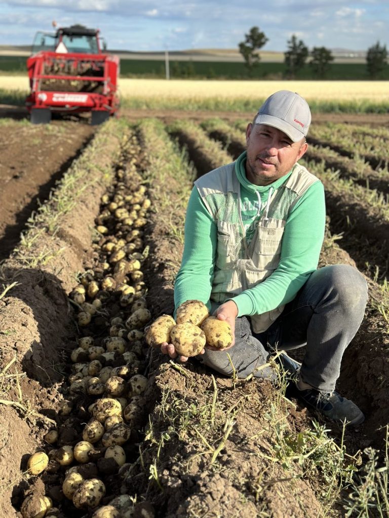 Potato conquers Asia 46 Potato conquers Asia