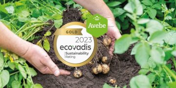 Avebe’s Sustainable Excellence: Cultivating Green Innovations in Potato Starch Production