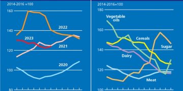 Navigating the Fluctuations: A Comprehensive Look at the FAO Food Price Index Rebound in July 2023