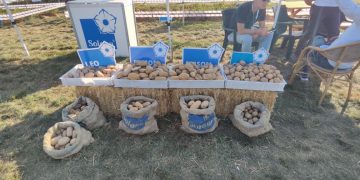 Title: Potato Day Turkey 2023: Unveiling Innovations and Global Significance