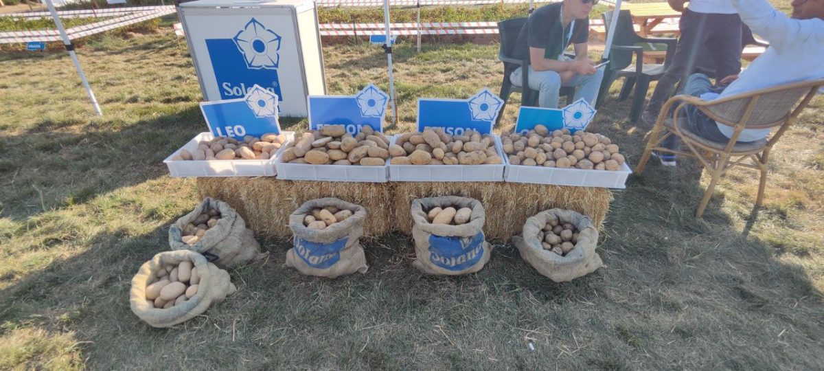 Title: Potato Day Turkey 2023: Unveiling Innovations and Global Significance