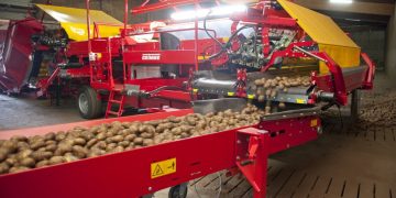 Potato Harvest 2023: A Promising Outlook Amidst Challenges