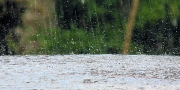 Weekend Rain Helps Harvest Conditions