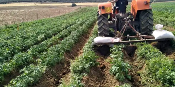 “Expanding Agricultural Support in Algeria: The Next Phase of PASA”