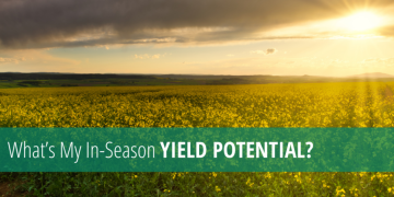 What’s My In-Season Yield Potential? A Deep Dive into Crop Predictions