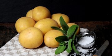 Germany’s Europlant Expands into Spain, Boosting Mediterranean Potato Market