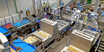 “Patatas Hijolusa: A Leading Force in Potato Production and Social Responsibility”