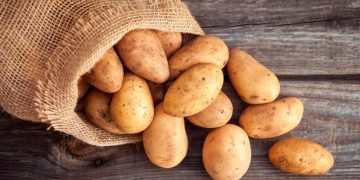 Global Potato Export: Who Leads and Belarus’s Position