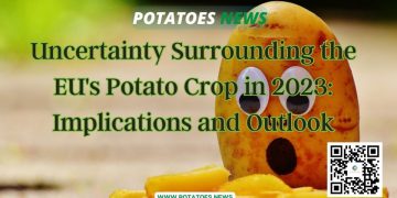 Uncertainty Surrounding the EU’s Potato Crop in 2023: Implications and Outlook