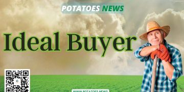 “Unearth Your Perfect Potato Partner: Discovering Your Ideal Buyer”