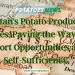 Pakistan’s Potato Production Surges, Paving the Way for Export Opportunities and Self-Sufficiency