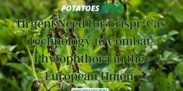 “Urgent Need for Crispr-Cas Technology to Combat Phytophthora in the European Union”