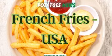 French Fries – USA