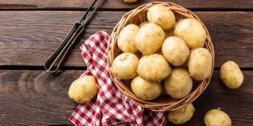 Belarus Harvests Over 36,000 Tons of Potatoes: A Bountiful Year for Agriculture