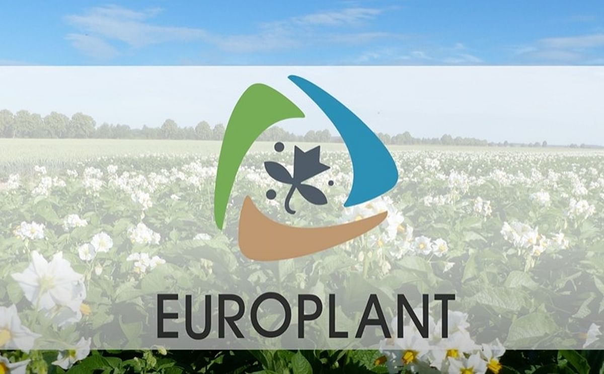 Europlant Expands its Mediterranean Roots: A Game-Changer in Potato Farming