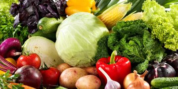 Agricultural Growth in Atyrau Region: 19 Investment Projects Worth 23 Billion Tenge