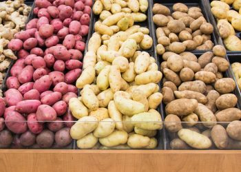 Grocery store displays different colors and varieties of potatoes for people to select their favourite, agricultural produce arranged in lines.