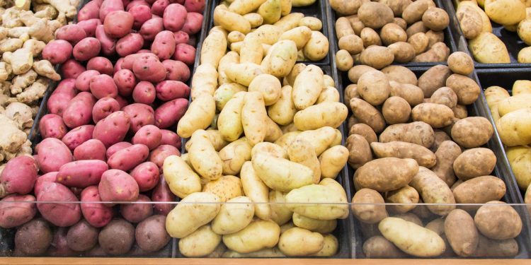 Grocery store displays different colors and varieties of potatoes for people to select their favourite, agricultural produce arranged in lines.