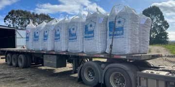 Potato Farming Chronicles: October 2023, a Month of Intense Planting and Milestone Achievements