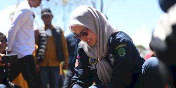 Unlocking the Kentang Goldmine: Rongkong’s Agricultural Marvel Goldmine