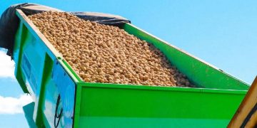 Revolutionizing Agriculture: Modern Storage Solutions Transform Moscow Region’s Vegetable Market