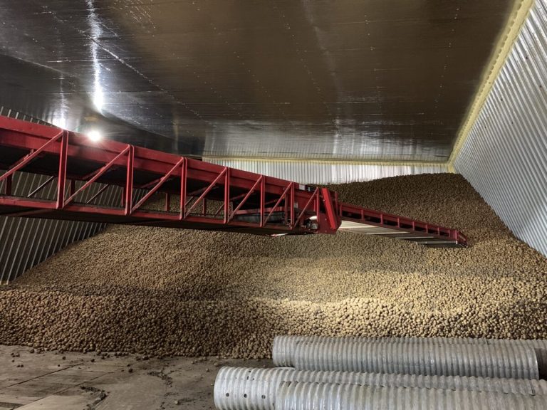 storage season