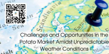 Challenges and Opportunities in the Potato Market Amidst Unpredictable Weather Conditions