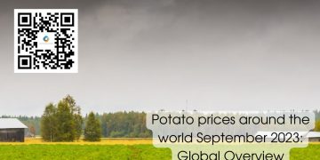 Challenges in European Potato Seed Planting for 2023: Impacts on Global Supply