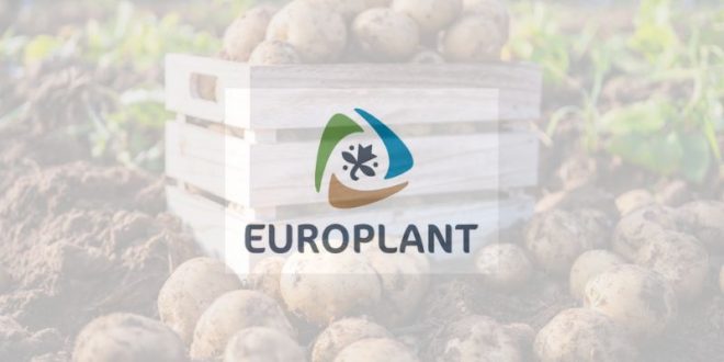 Cultivating Success: Europlant Pflanzenzucht GmbH Digs Deep in Spain's Soil 40 Cultivating Success: Europlant Pflanzenzucht GmbH Digs Deep in Spain’s Soil