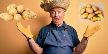 Navigating the Potato Predicament: Challenges, Growth, and Strategies in European Agriculture