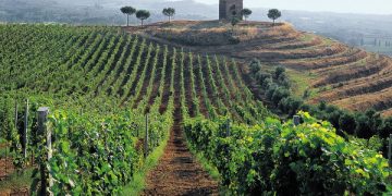 Best practices from Italy and prospects for the development of organic agriculture in Uzbekistan: Lessons and opportunities