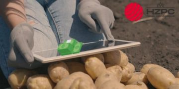 Empowering Agriculture: Royal HZPC’s Remarkable Growth and Sustainable Vision