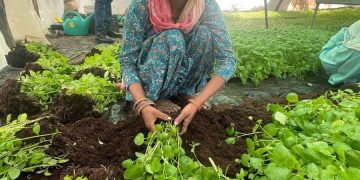Empowering Women in Agriculture: A Transformative Journey in Morni, Haryana