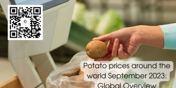 Potato prices around the world September 2023: Global Overview